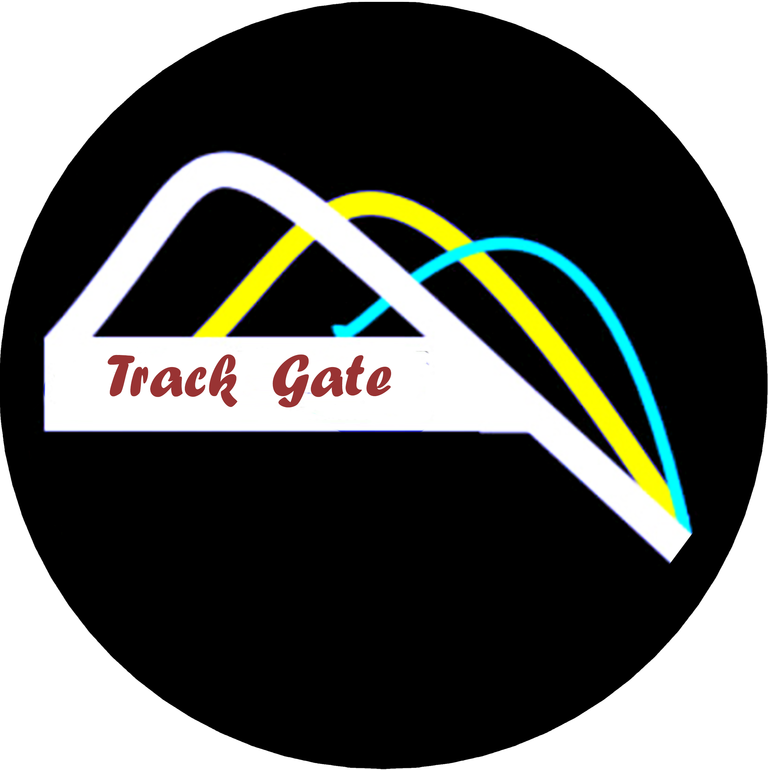 Track Gate(ANDROID_ABIS = armeabi-v7a)